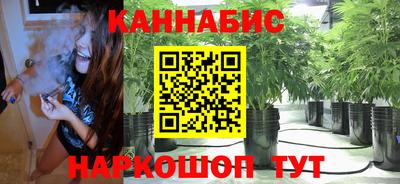 МДПВ Славгород
